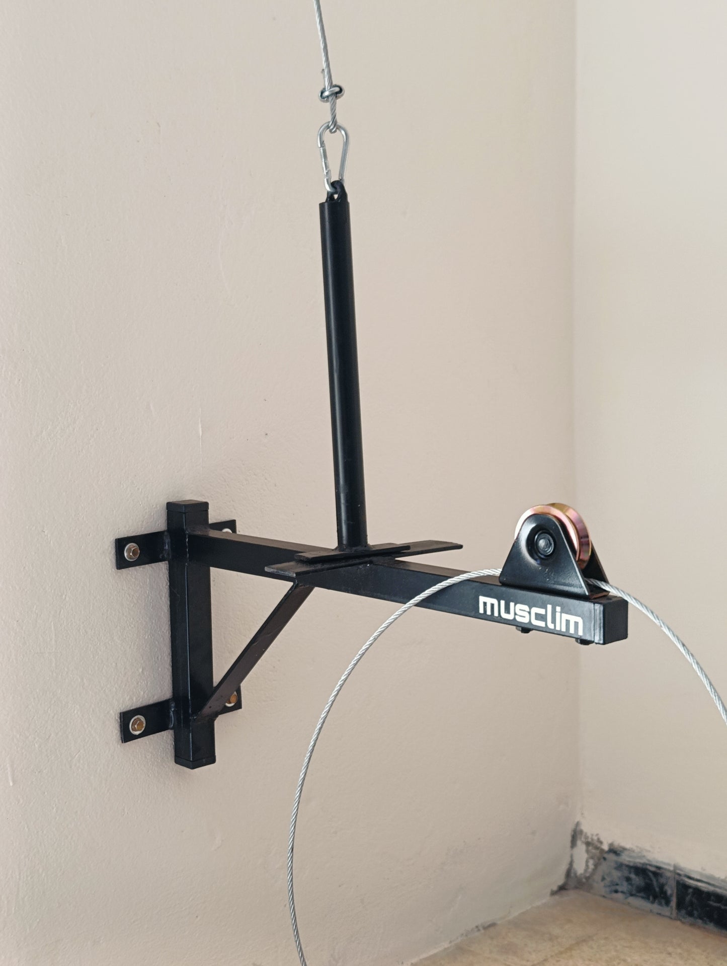 la pulley de muscilation