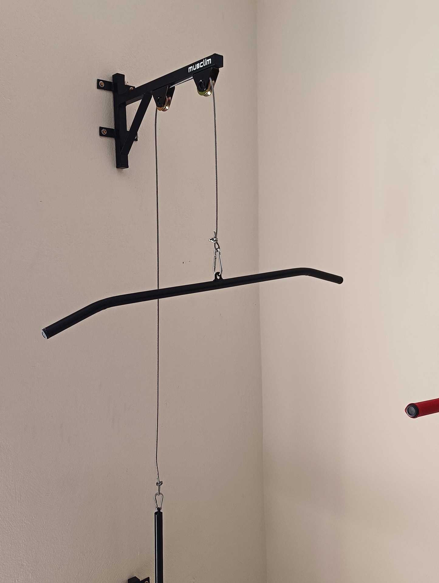 la pulley de muscilation