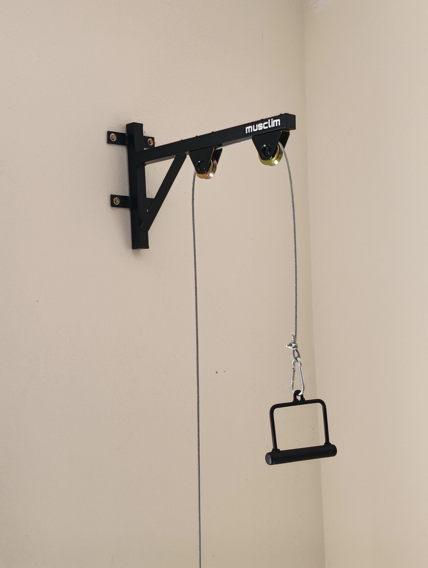 la pulley de muscilation