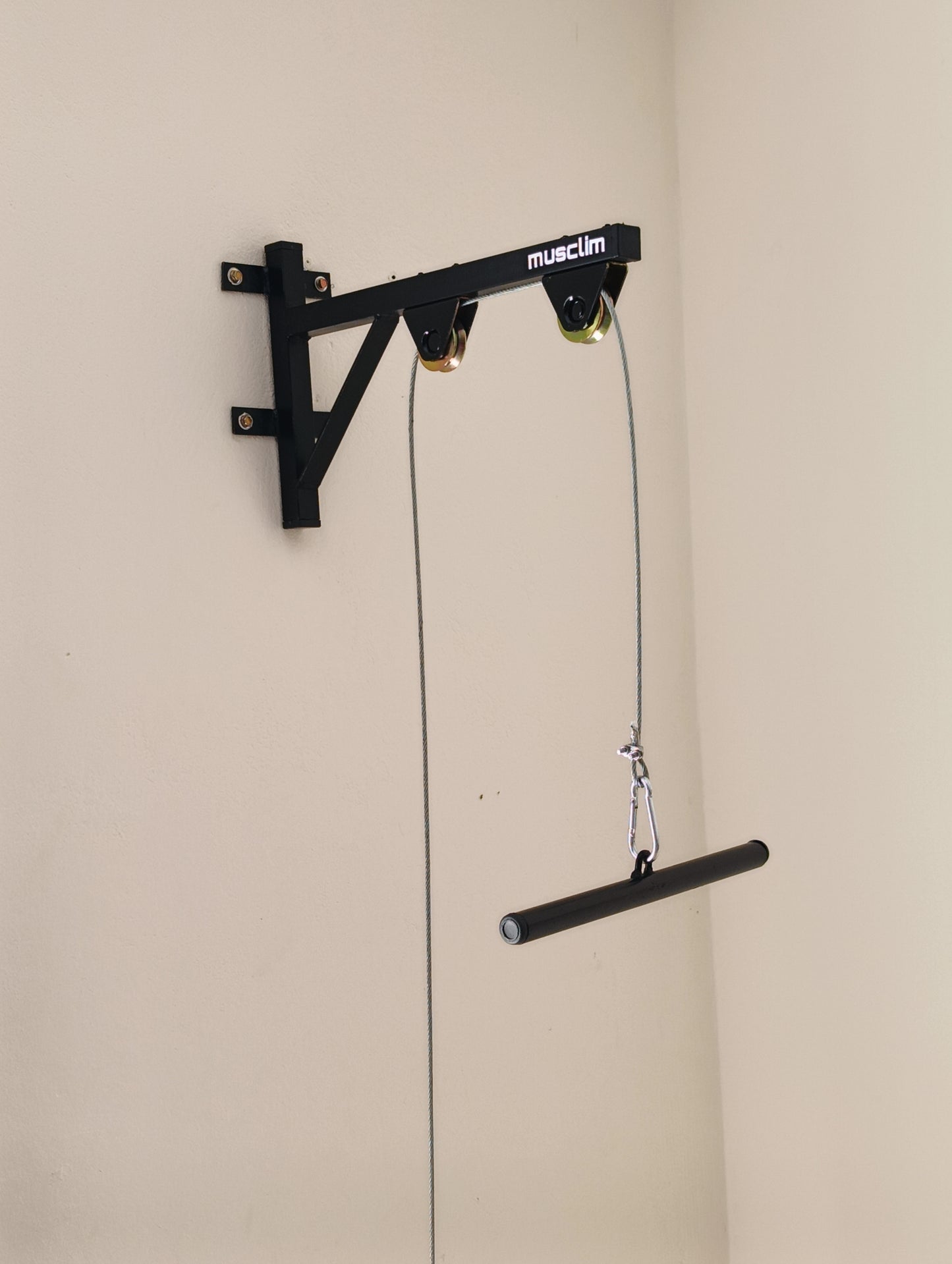 la pulley de muscilation