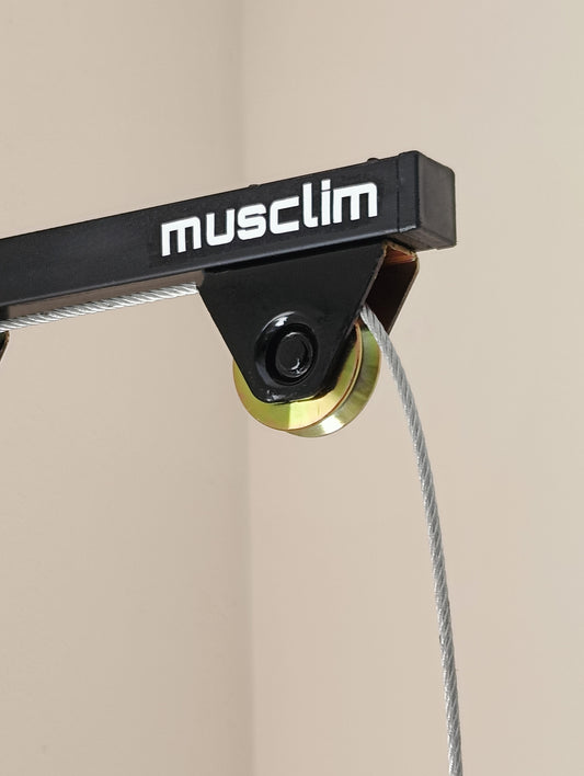 la pulley de muscilation