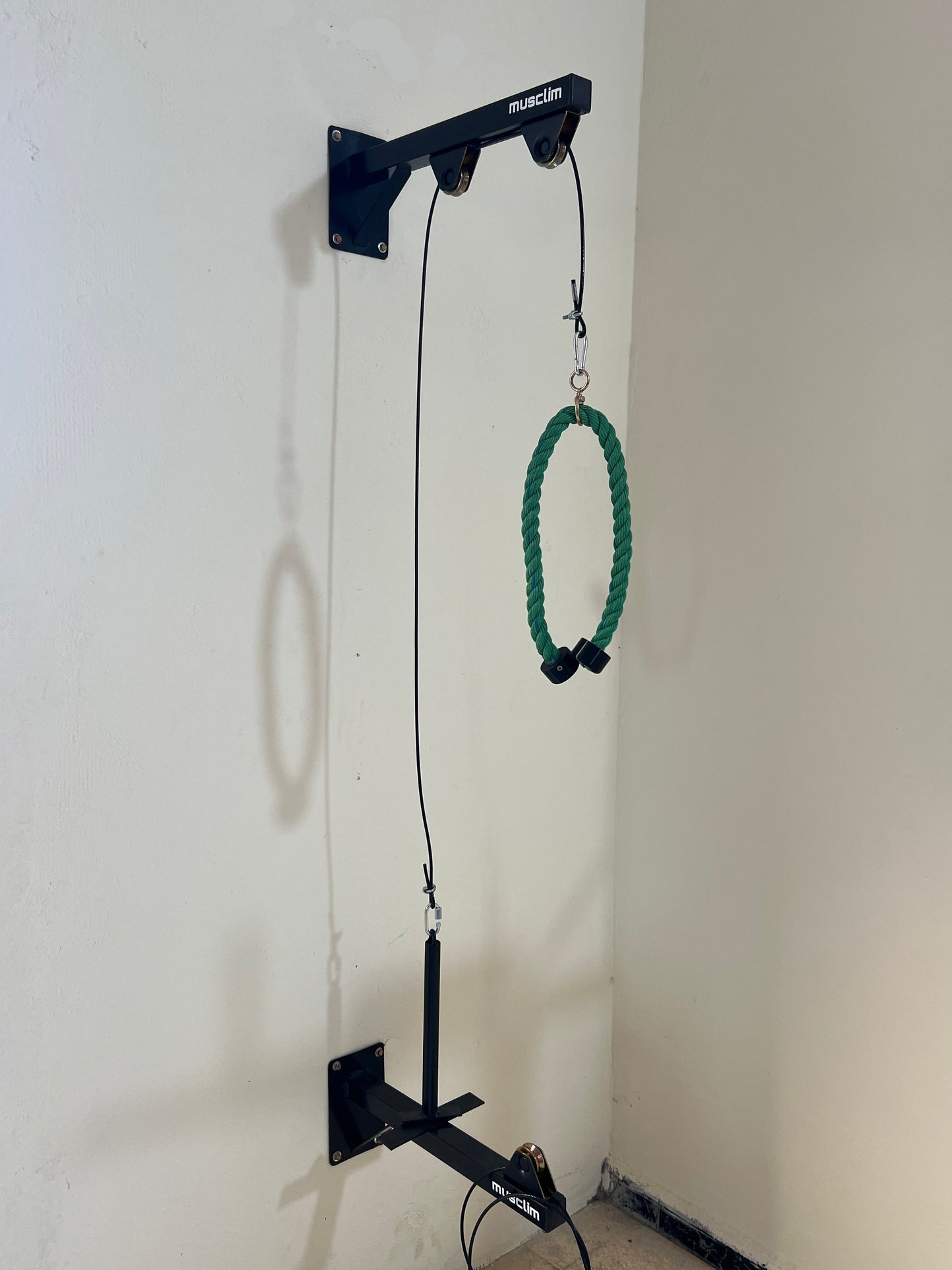 la pulley de muscilation