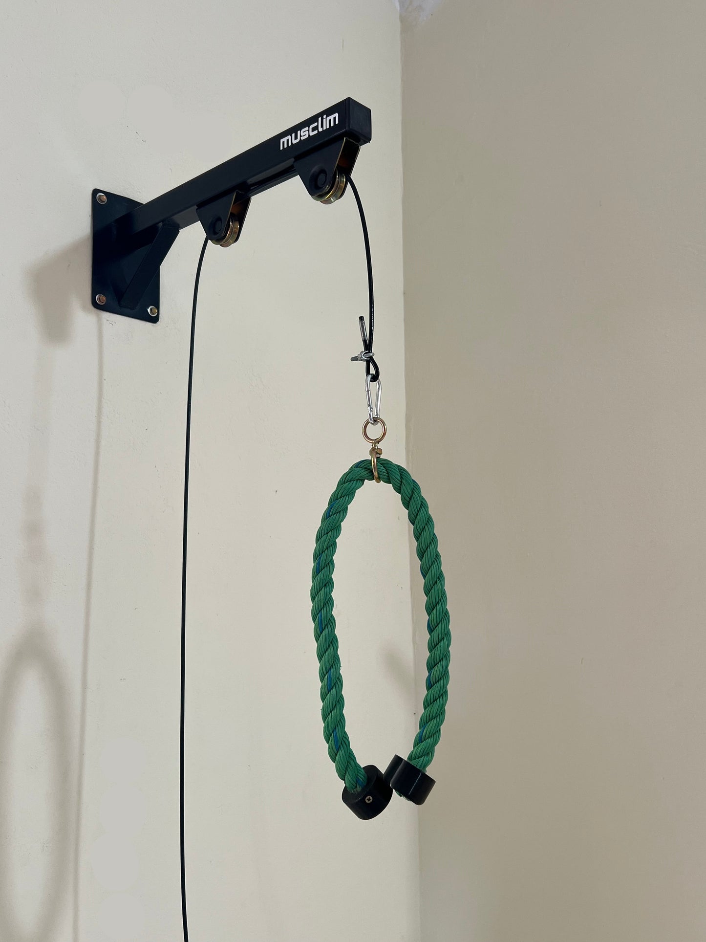 la pulley de muscilation