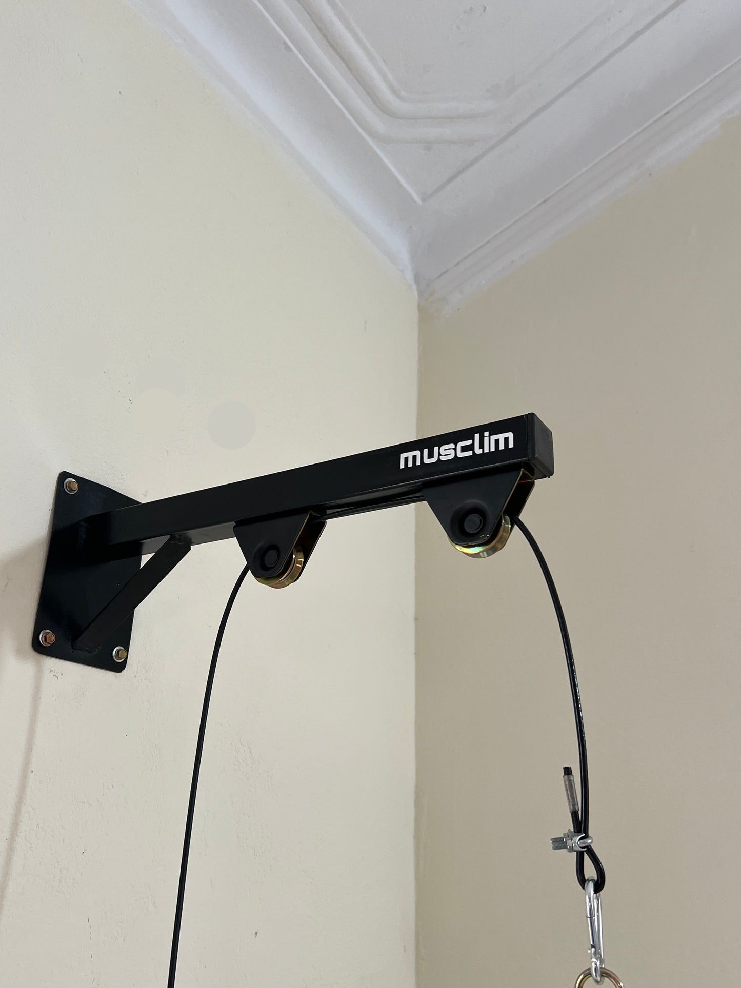 la pulley de muscilation