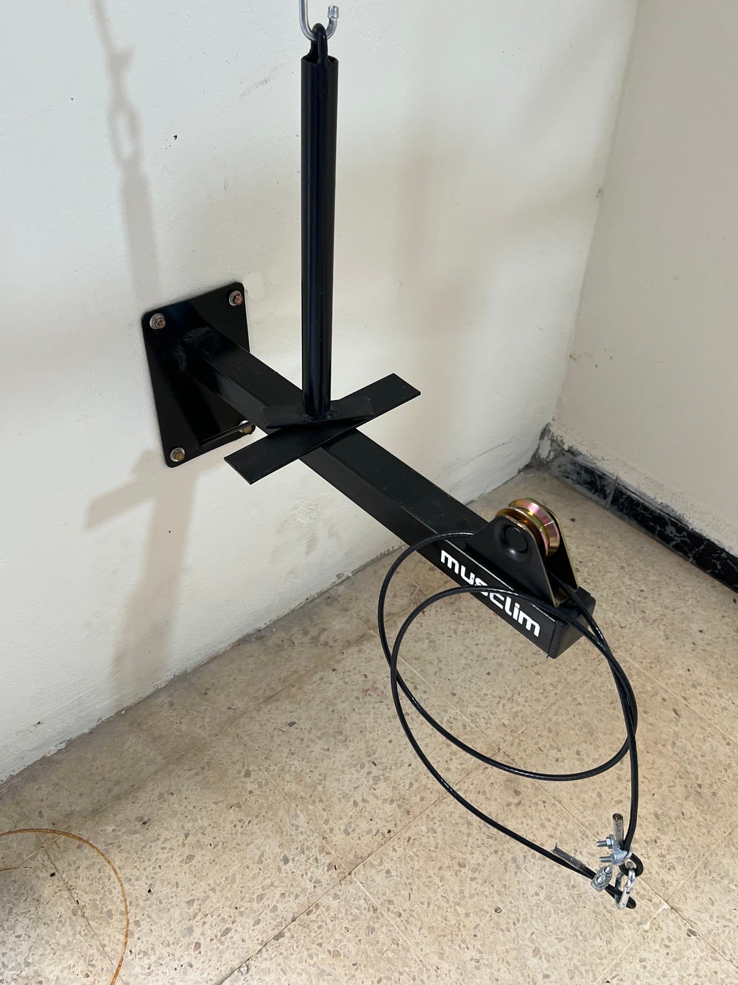 la pulley de muscilation