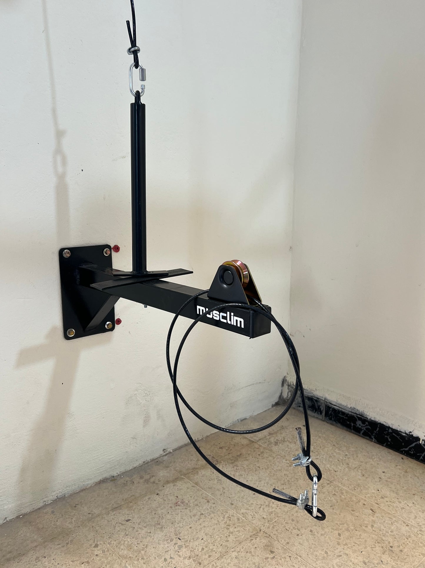 la pulley de muscilation