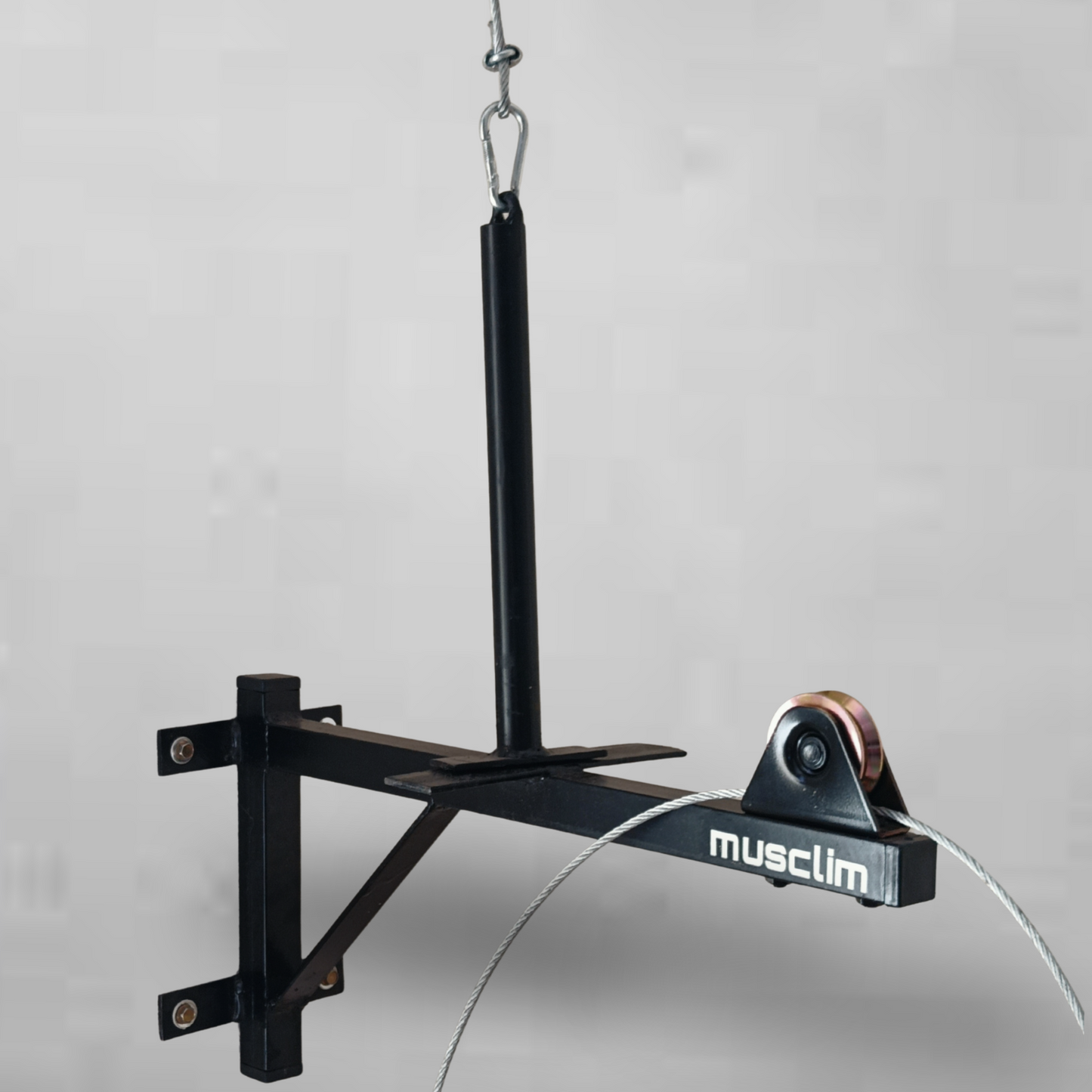 la pulley de muscilation