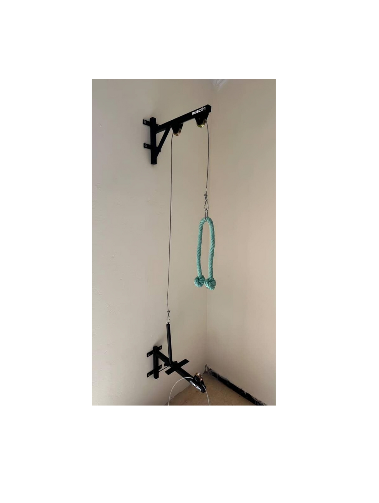 la pulley de muscilation