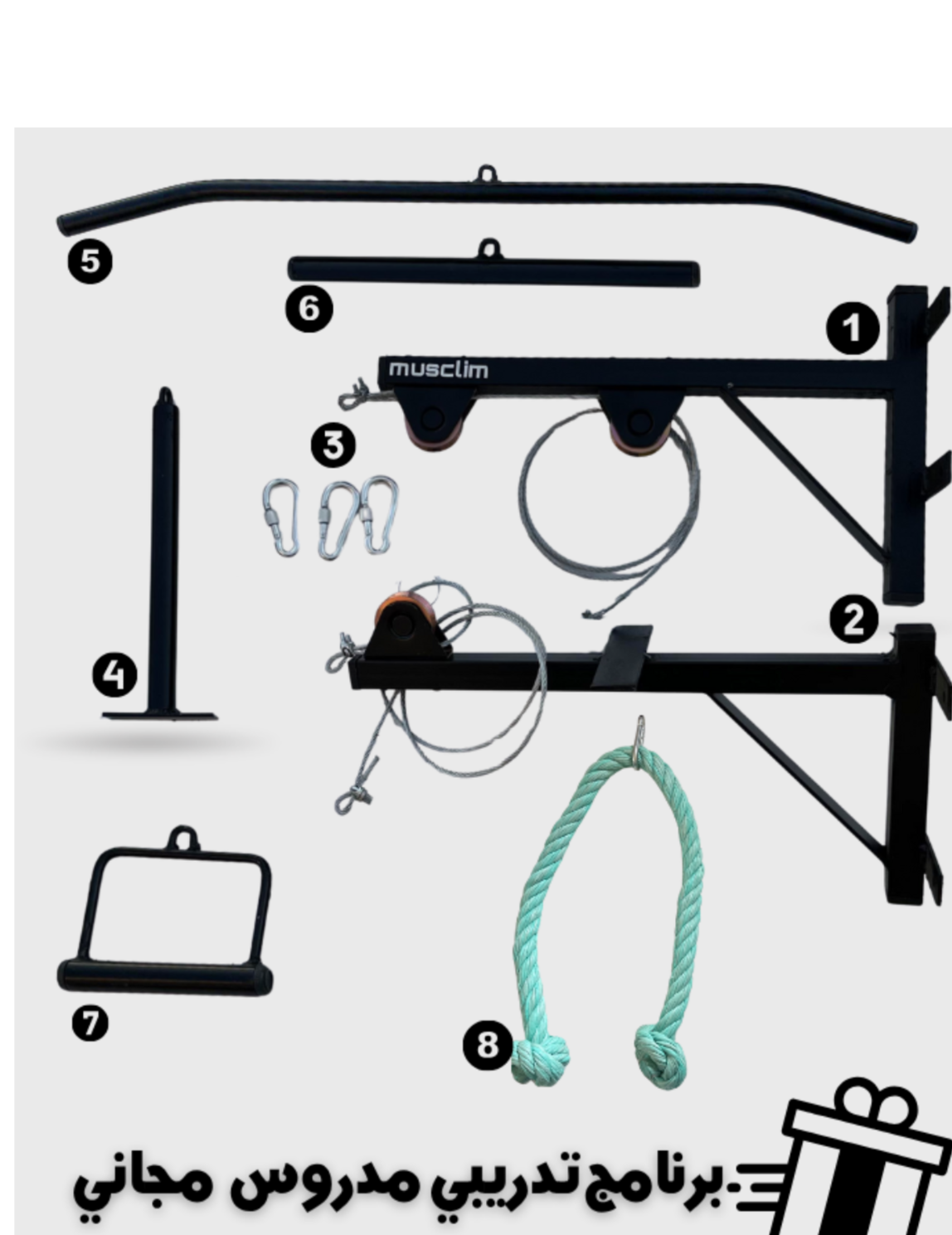la pulley de muscilation